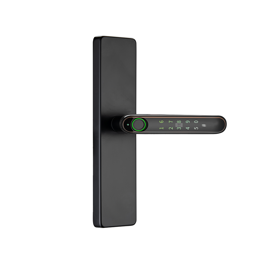 L198 Smart Lever Lock 6 Unlocking Ways