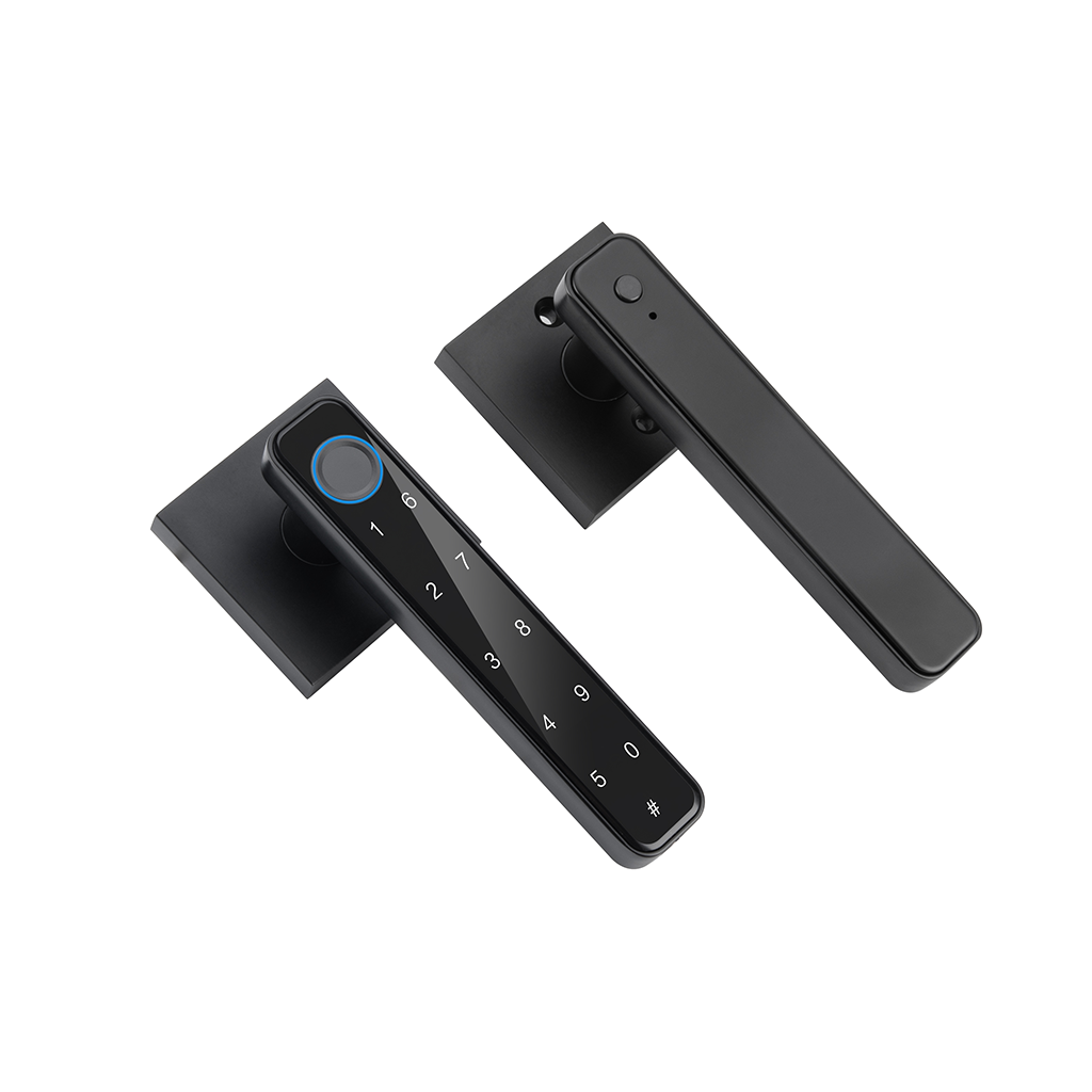 197B Smart Lever Lock 5 Unlocking Ways