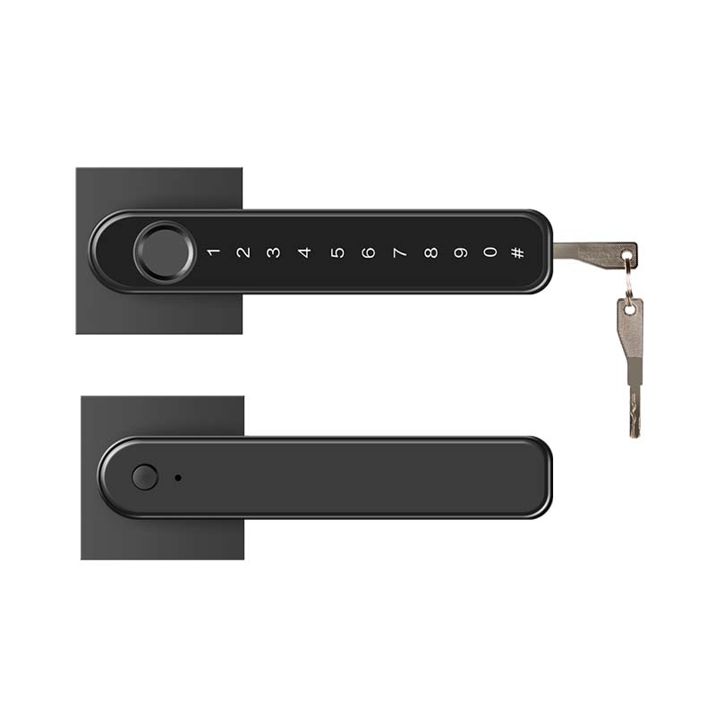 190 Smart Lever Lock 5 Unlocking Ways