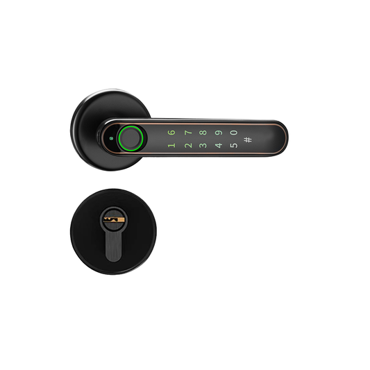 S52 Smart Lever Lock 6 Unlocking Ways